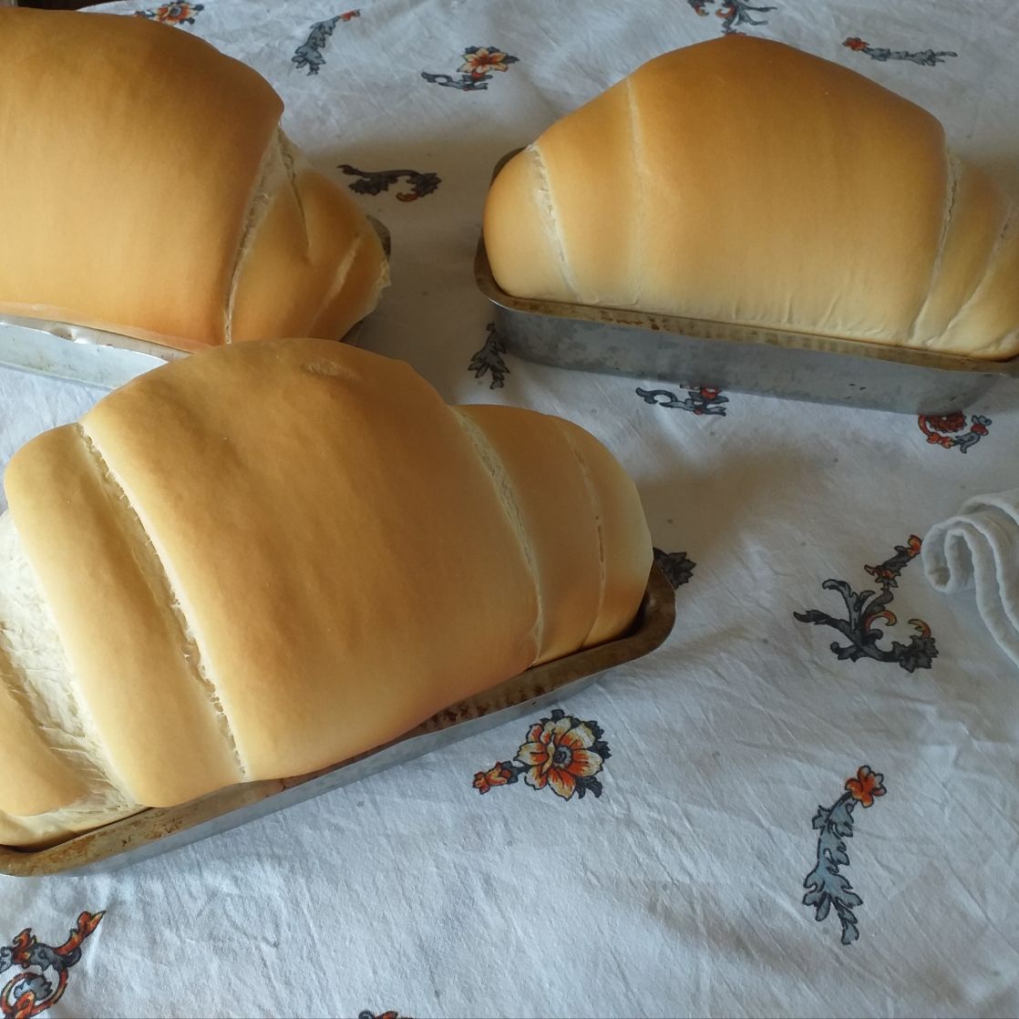 Pão caseiro da Néia